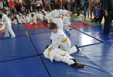 Club De Sport Bucuresti Cursuri Arte Martiale Bucuresti