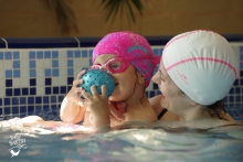 Club De Sport Cluj-Napoca Baby Swim