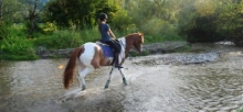 Club De Sport Bucuresti-Sector 1 Centrul de Echitatie Diana - Rasnov